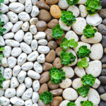 Jak wybrać kamień ogrodowy dla zaaranżowania przestrzeni w ogrodzie?