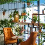 Rośliny do biura: projekt, dostawa i opieka nad zielenią w Twojej firmie